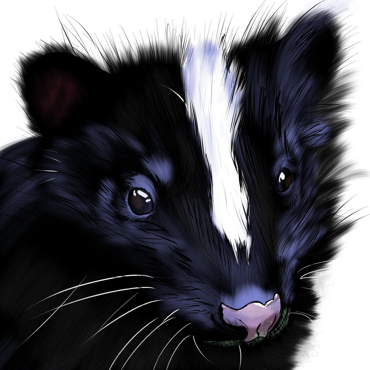 Notorious Skunk